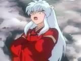 :) inuyasha